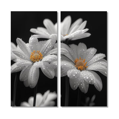 Monochromes noir et blanc Bliss Daisy Photo III - art mural blanc 2 pièces