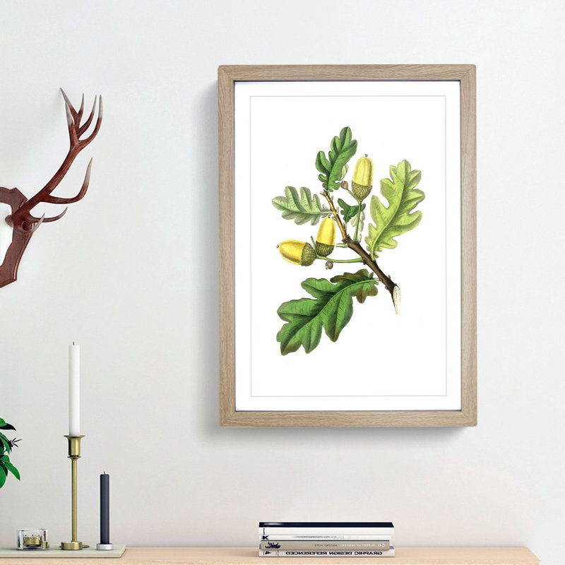 English Oak Tree Illustration - Picture Frame Painting Print, 48cm H x 36cm W x 2cm D, Oak Framed