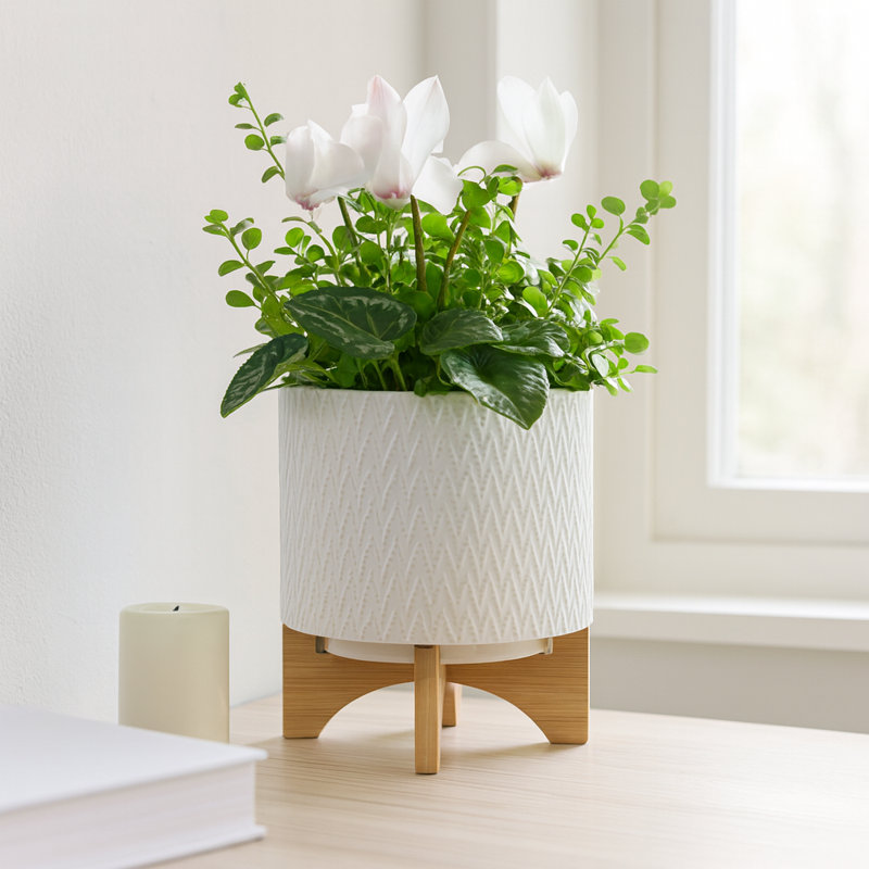 Alyanah Stoneware Ceramic Planter with Stand - Contemporary Decorative Plant Pot with Textured Design and Elevated Base