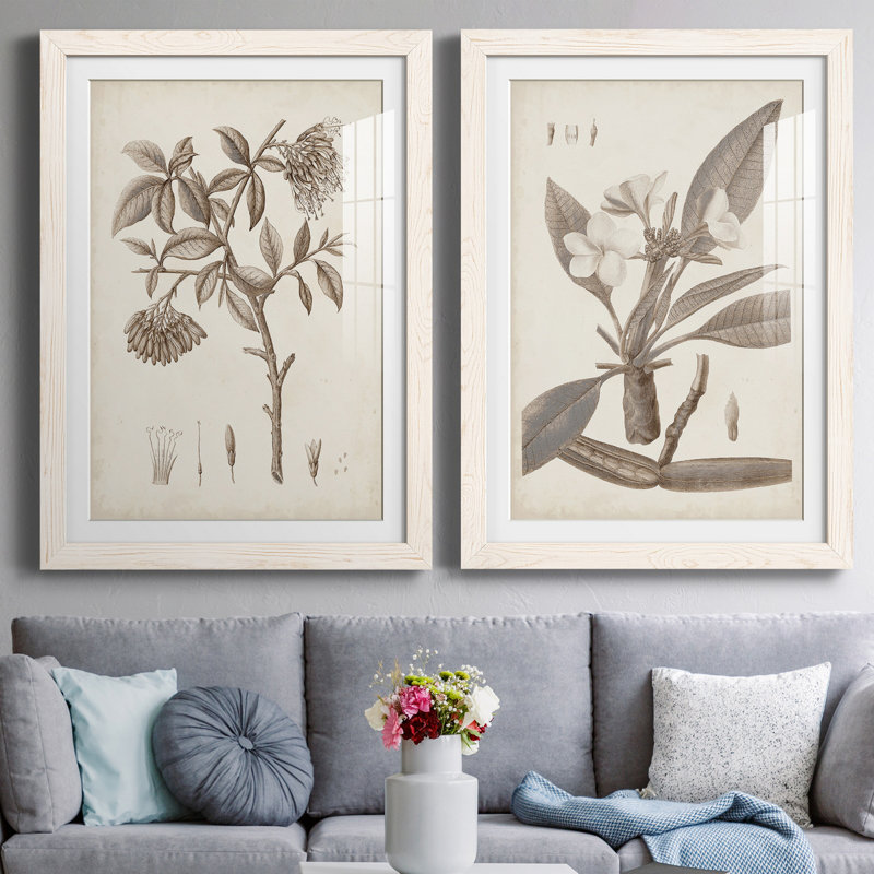 Antique sépia botanicals I - ensemble de 2 reproductions d'art sur papier encadré, H 31,5 po x l 47 po x P 1,5 po