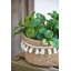 Pot Planter