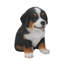 Bernese Mountain Dog Puppy Statue