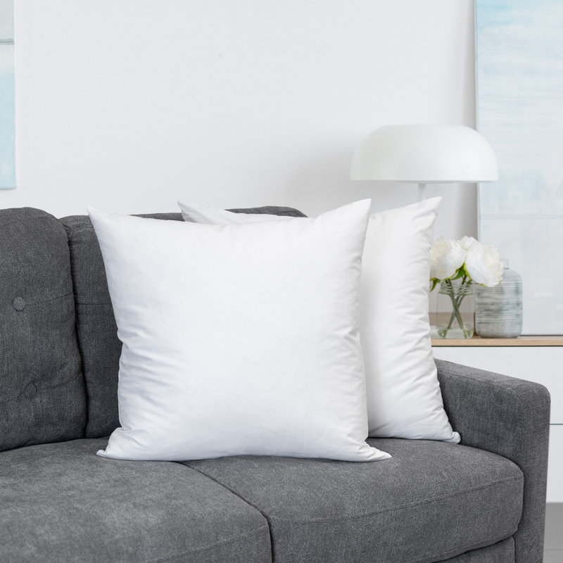Bourrure de coussin de forme carré, 24" X 24", Plumes