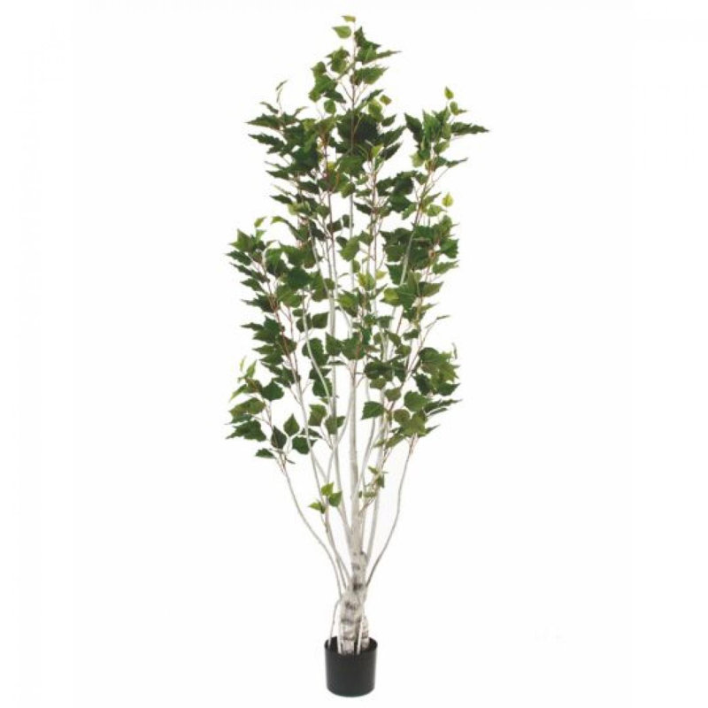 Faux plantes et arbres en pot