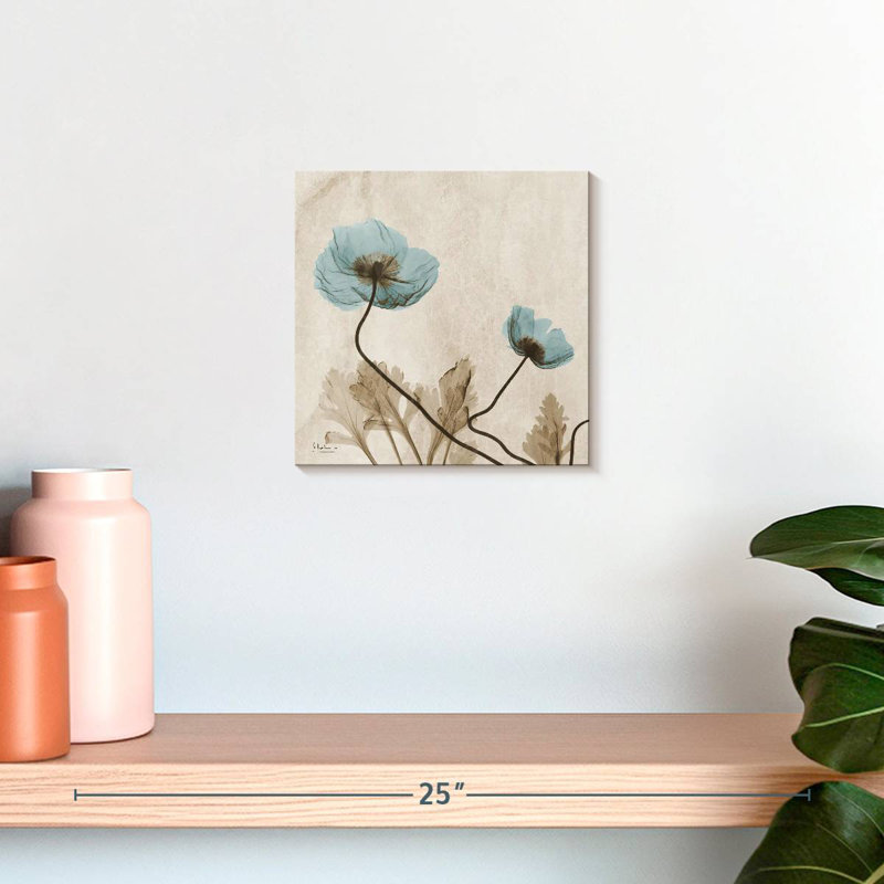 Radiographie du coquelicot bleu Harnek, H 10 po x l 10 po