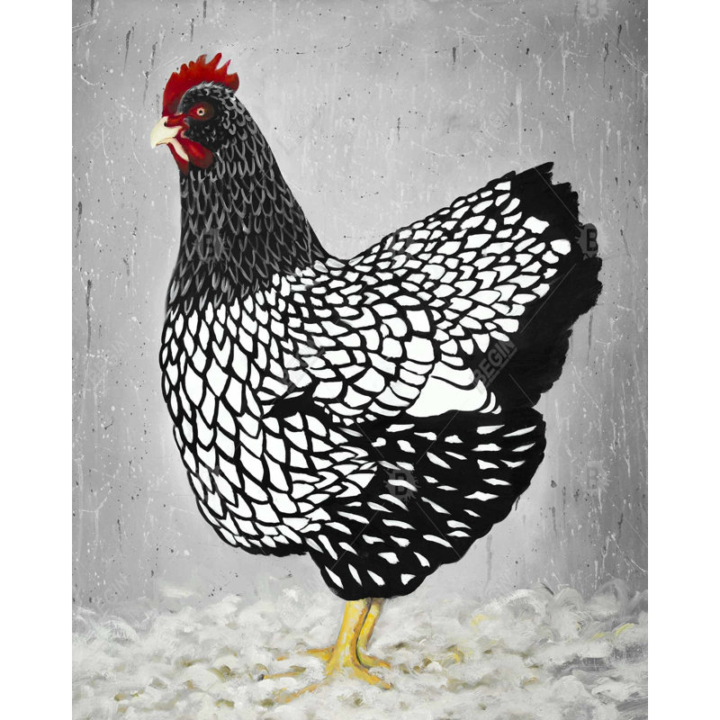 «Black and White Wyandotte Hen» sur toile