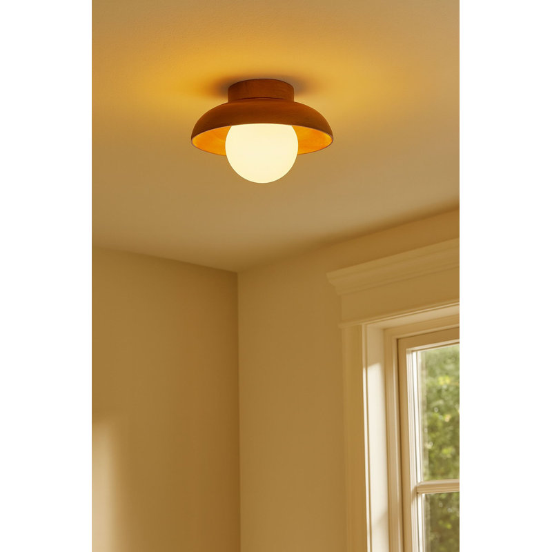 Elegant Wall Lamp with Wooden Body, Oak & White Finish, 9.5 x 4.7 x 9.4 inches | Glass Cap Ø9.4 x 9.4 inches | 1 x G9 Socket, Max 10W | Stylish Lighting for Home Decor, Living Room & Bedroom Use, IP20 Rated