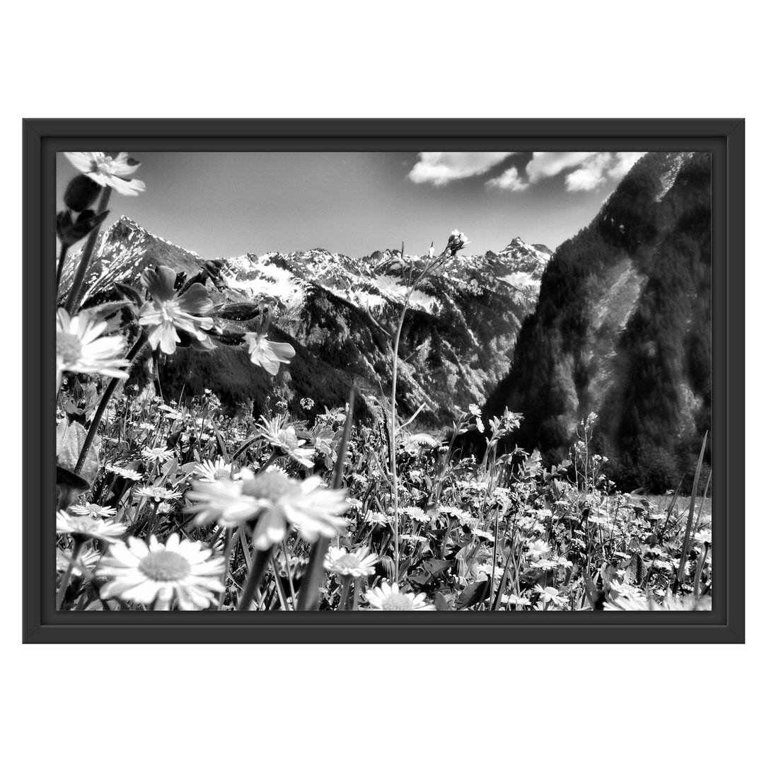 Gerahmtes Wandbild Wunderschöne Blumen Alpenwiese