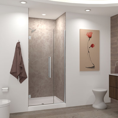 Transolid Elizabeth 39-in W x 76-in H Hinged Shower Door with Clear Glass
