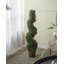 Topiaire de buis 36 po en pot
