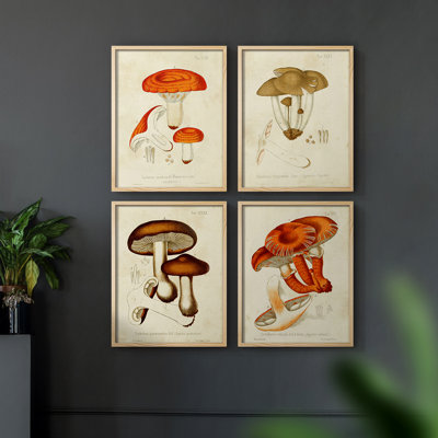 «Mushroom Variétés», reproduction encadrée - ensemble de 4