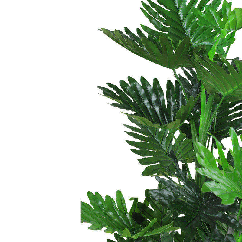 Evergreen 47" Philodendron Selloum in Decorative Black Pot