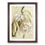 Magnolia Flowers Illustration Tab. 66 by Frederick Sander - Picture Frame Painting Print-55760206-55760212