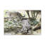 No Frame Print on Canvas-134226917