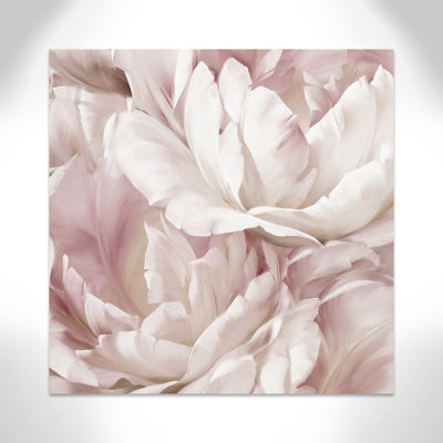 Intime rosé IV - photographie