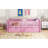 Wood Twin Size Platform Bed With Guardrail And 2 Drawers-2075429898