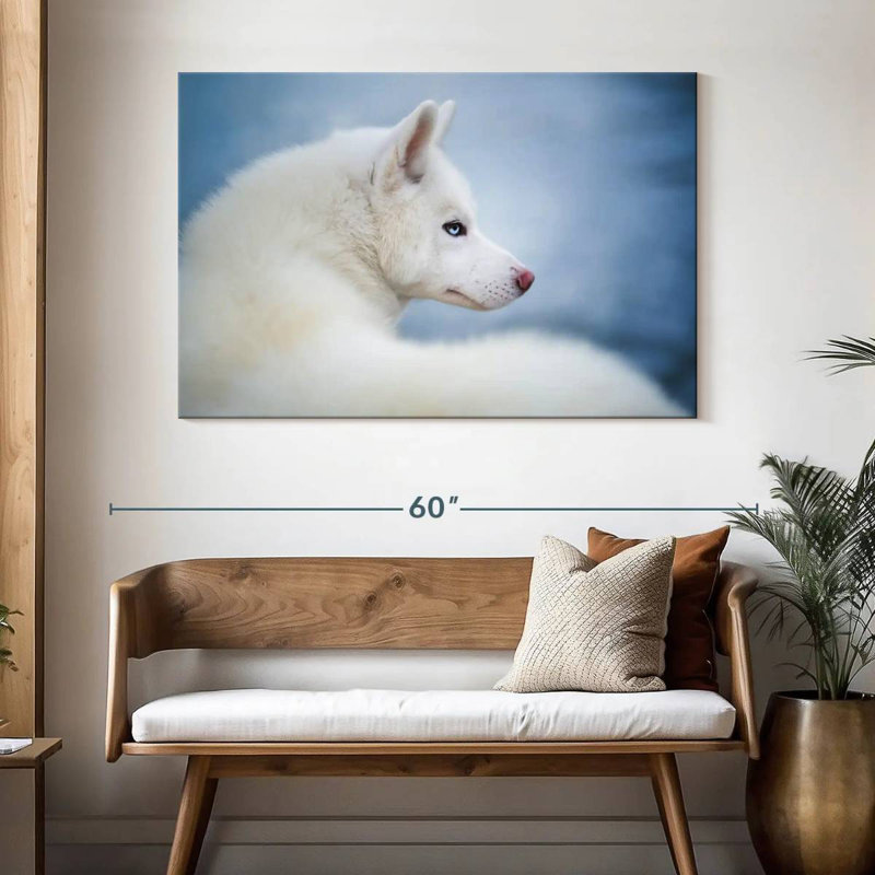 Husky blanc pur, H 32 po x l 48 po