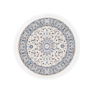 Oriental Area Rug