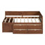 Lit de jour avec tiroirs et tablettes-869492105-869492104