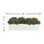 Multi Colored Sedum In White Planter-1228368899-1228368898