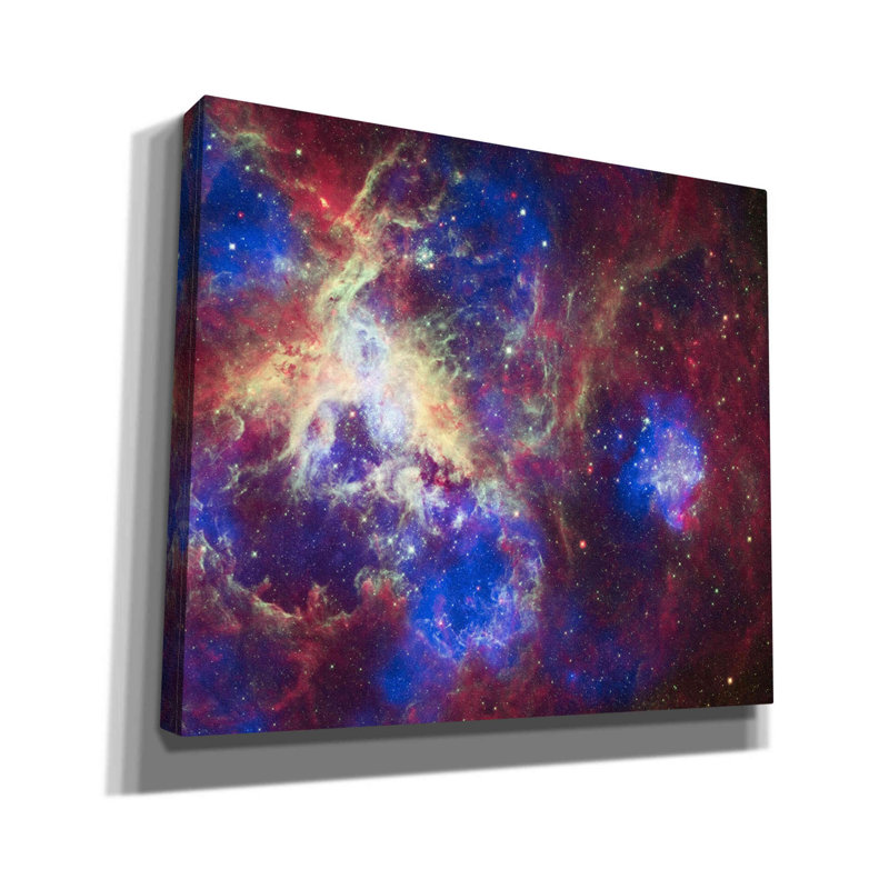 Tarentule nébuleuse - peinture sur toile tendue, H 26 po x l 30 po x P 0,75 po
