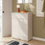 Rydar 12 Pair Shoe Storage Cabinet