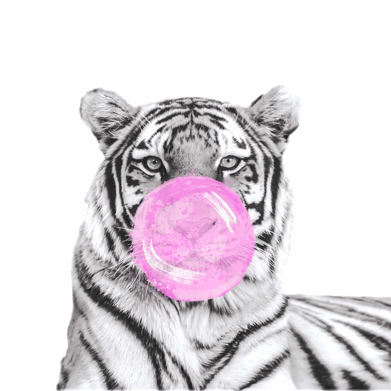Tigre soufflant des bulles, H 12 po x l 12 po