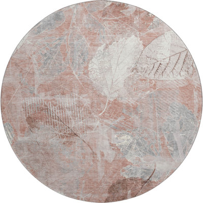 Premium Machine Washable Chelston AMF1850 Floral Rug