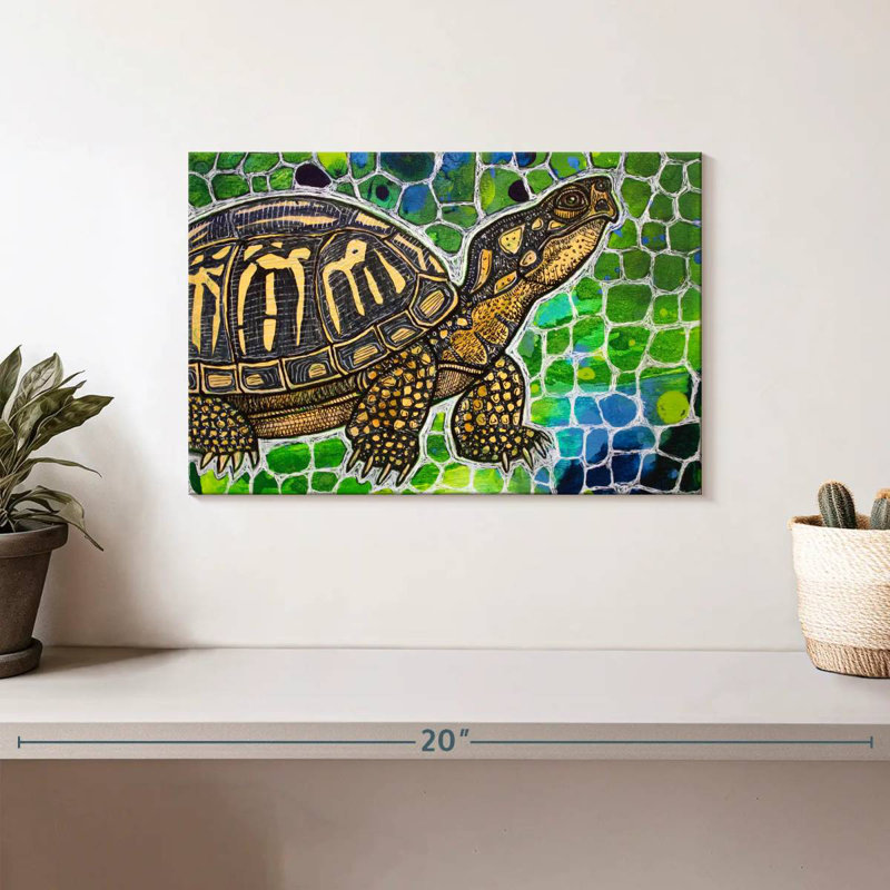 Brampt Eastern Box Turtle, 8" H x 12" W
