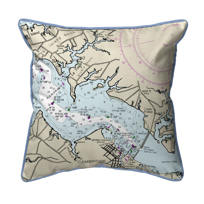  Housse et insert de coussin extérieur d'extérieur, 18" x 18"