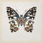 « papillon study ii », impression sur toile-29480724-73651498-73651503