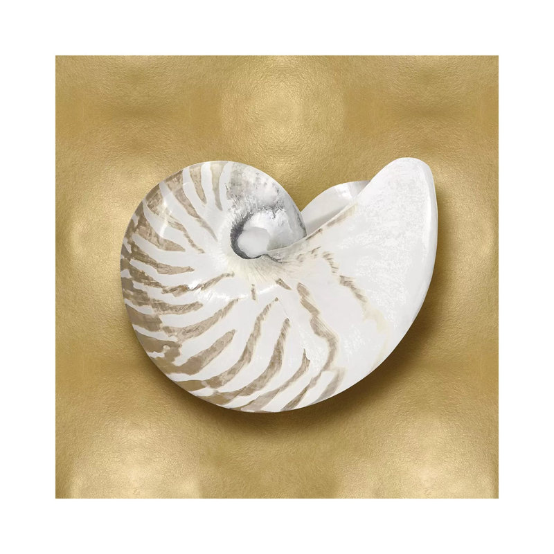 Shell On Gold III by Caroline Kelly - Wrapped Canvas Painting, 45.72 cm H x 45.72 cm W x 1.91 cm D