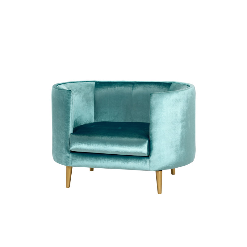 Ortiz Velvet Barrel Chair