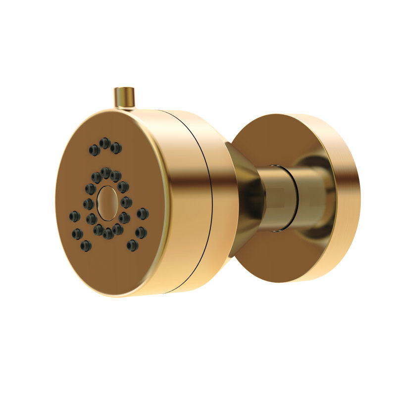 Parma Multi Function Adjustable Shower Head, Brushed Bronze