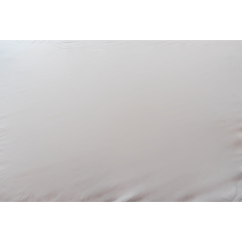 Encased Polyester Hypoallergenic Mattress Protector, Twin
