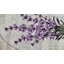 Kessy Non-Slip Bath Rug