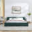 Upholstered Bed Frame with Thick Fabric-901659411