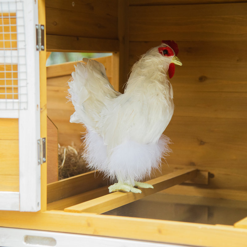 Poulailler Arjav pour 4 poules
