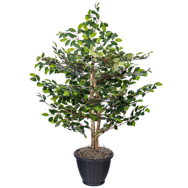 Mini buisson de 4 pi tous les jours, gris