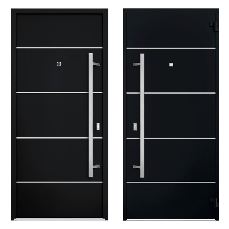 Modern Black Enamel Metal Exterior Prehung Door with Sidelites