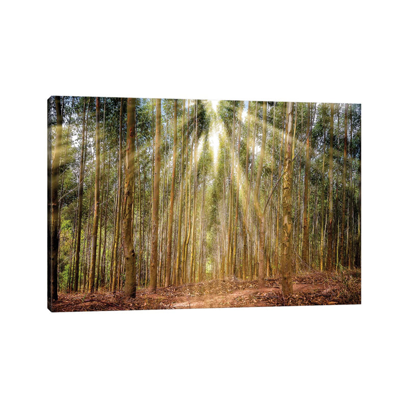 Landscape 17 - Wrapped Canvas Print, 20.32cm H x 30.48cm W x 1.905cm D