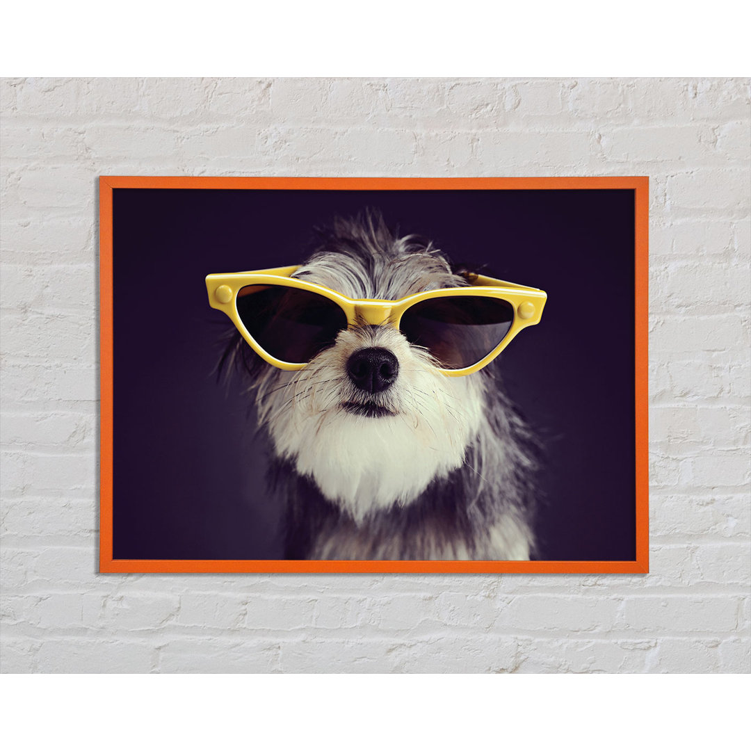 Sonnenbrille Hund Pooch - Einzelner Bilderrahmen Kunstdrucke