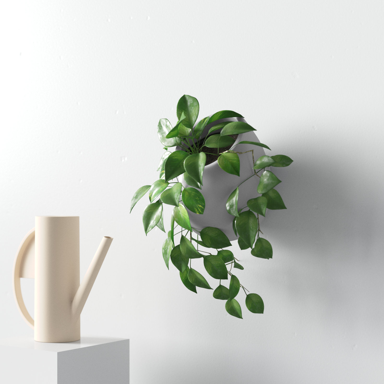 Hilaria 6" Ceramic Wall Planter, 6.5'' H x 5.5'' W x 5" D, Matte Light Gray
