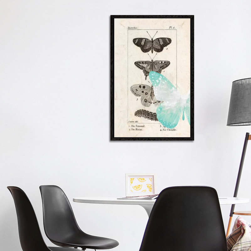 Field Guide II by Kimberly Allen - Print on Canvas, 101.6cm H x 66.04cm W x 3.81cm D, Black Framed