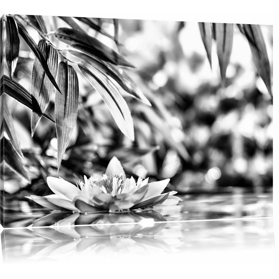 Leinwandbild Weiße Seerose im Wasser Wellness in Monochrom