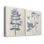 Toile tendue avec châssis de qualité supérieure Marine Botanicals III - prête à être accrochée-1554426173