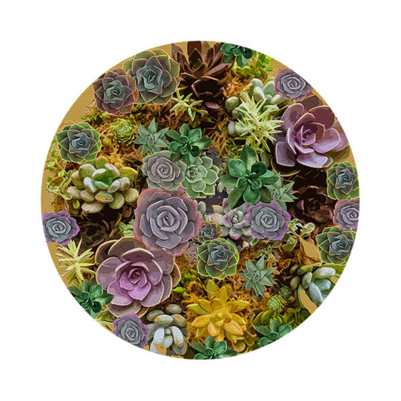 Succulents Vegan Leather Round Coasters, Gold