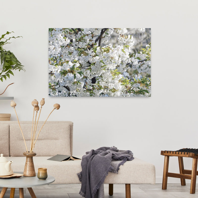 Cherry Tree blossoms in springtime Prague Czech Republic 1 Piece Wrapped Canvas Wall Art, 60.96 cm H x 91.44 cm W