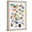 Olavo Wildlife Alphabet, reproduction encadrée-1240338583