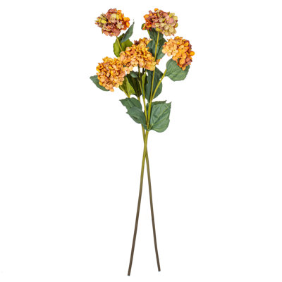 Ranbir Hydrangea Stems
